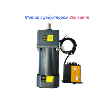 Мотор 250 Вт